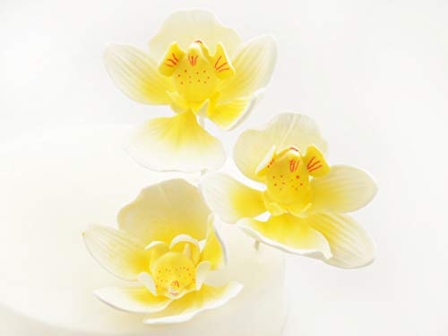 Feinzucker Blüten Moth Orchid 3er von Pati-Versand