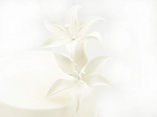 Feinzucker Blüten Tiger Lily White 2er von Pati-Versand