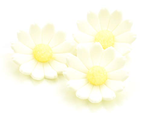 Margeriten Zucker 6 Stück von Pati-Versand