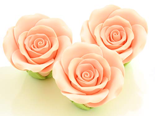 Rosen 50mm lachs Zucker 3 Stück Rosen 50mm lachs Zucker 3 Stück von Pati-Versand