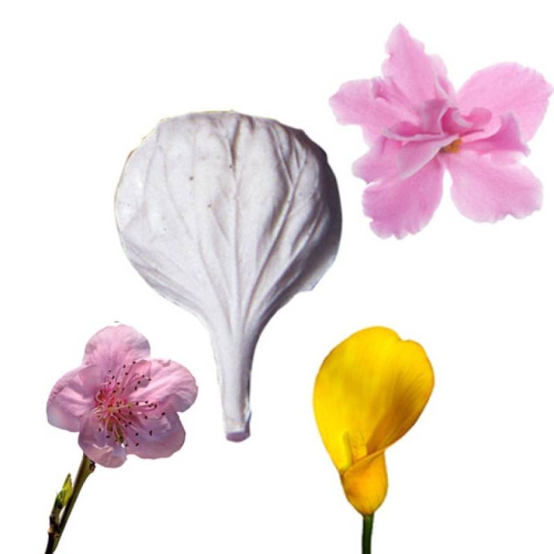 SK Cupcakes Veiner Schönmalven Abutilon Blütenblatt 4,5 cm von Pati-Versand
