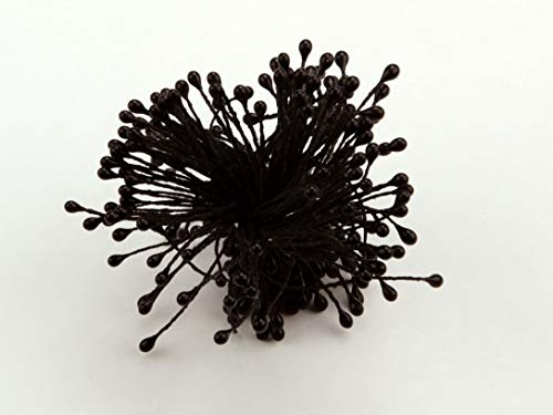 Staubblüten schwarz 120 Stück von Pati-Versand