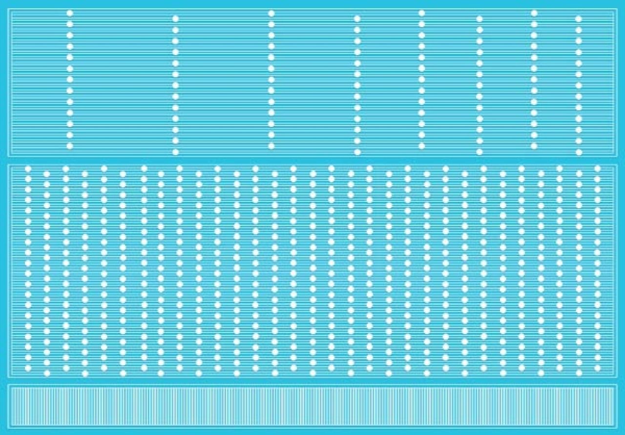 Sugar Veil Dot Veil Essbare Spitze Icing Matte inkl. DVD von Pati-Versand