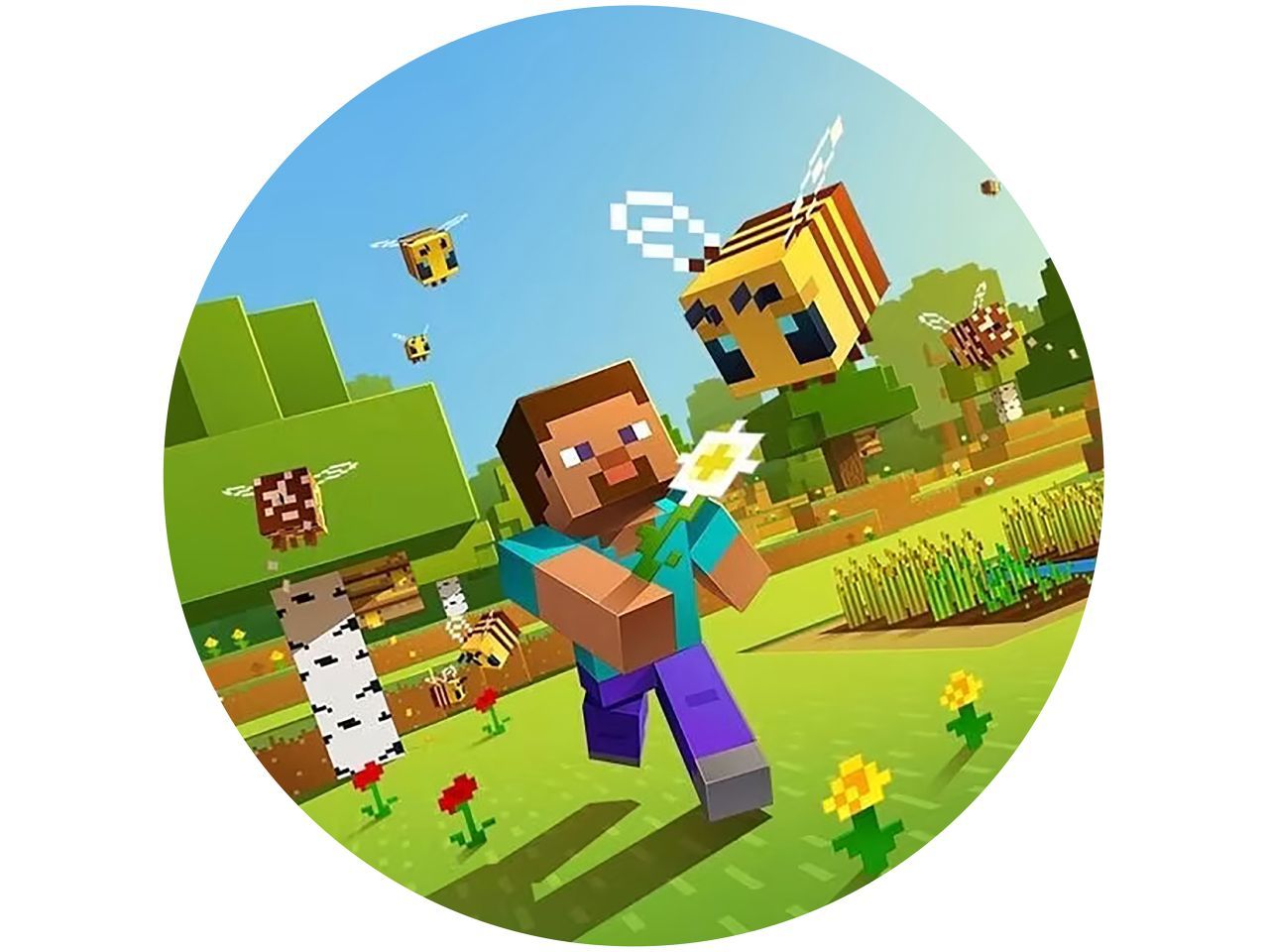 Tortenaufleger Minecraft 6 Tortenaufleger Minecraft 6 von Pati-Versand