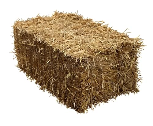 Paulnala – Dein XXL Onlineshop | Weizen - Stroh HD Ballen 10 kg – Hochverdichtet & Staubarm | Direkt vom Erzeuger Paulnala – Dein XXL Onlineshop | Weizen - Stroh HD Ballen 10 kg – Hochverdichtet & Staubarm | Direkt vom Erzeuger von Paulnala Dein XXL Onlineshop