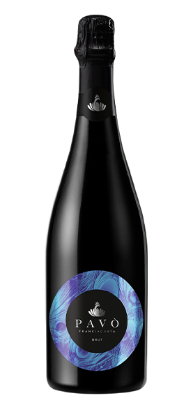 Franciacorta Brut DOCG Franciacorta Brut DOCG von Pavò