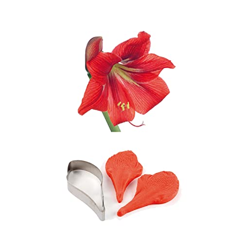 1 Veiner/Prägewerkzeug Amaryllis 1 Veiner/Prägewerkzeug Amaryllis von Pavoni