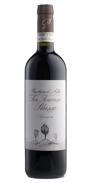 "San Pancrazio" Barbera d'Alba Superiore DOC 2022 "San Pancrazio" Barbera d'Alba Superiore DOC 2022 von Pelassa