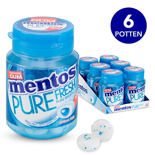 Mentos Kaugummi | Kaugummi Purefresh Frische Minze Flasche | Mentos Gum | Mentos Großpackung | 6 Pack | 900 Gram Total von Perfetti Van Melle