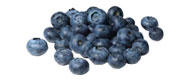 Blaubeeren Blaubeeren von Spanien