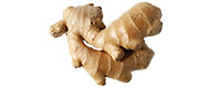 Ingwer Ingwer von Peru