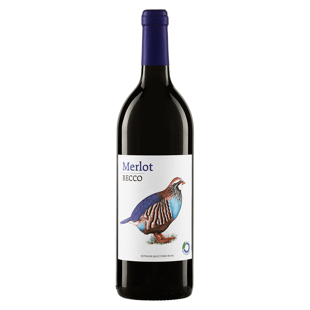 Bio Merlot Becco 2021 von Peter Riegel