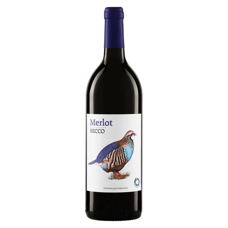 Bio Merlot Becco 2021 von Peter Riegel