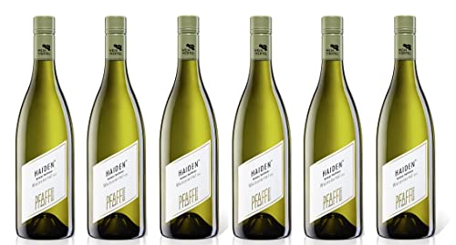 6x 0,75l - 2023er - Weingut Pfaffl - Haiden - Grüner Veltliner - Weinviertel D.A.C. - Österreich - Weißwein trocken von Pfaffl