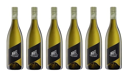 6x 0,75l - 2024er - Weingut Pfaffl - "vom Haus" - Grüner Veltliner - Niederösterreich - Österreich - Weißwein trocken 6x 0,75l - 2024er - Weingut Pfaffl - "vom Haus" - Grüner Veltliner - Niederösterreich - Österreich - Weißwein trocken von Pfaffl