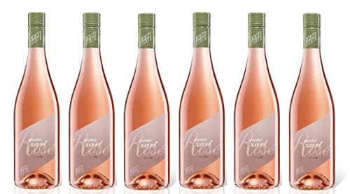 6x 0,75l - Weingut Pfaffl - Ganz Zart - rosé - Niederösterreich - Rosé-Wein trocken von Pfaffl