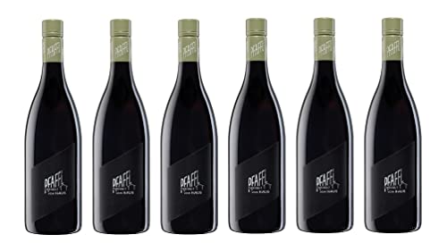 6x 0,75l - Weingut Pfaffl - Zweigelt vom Haus - Niederösterreich - Rotwein trocken von Pfaffl