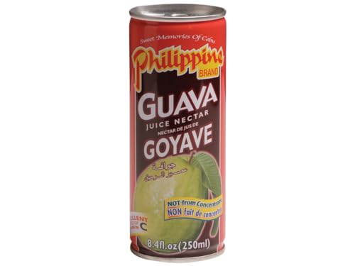 Guavennektar - Guava Juice - Philippine Brand 250ml von Philippine Brand