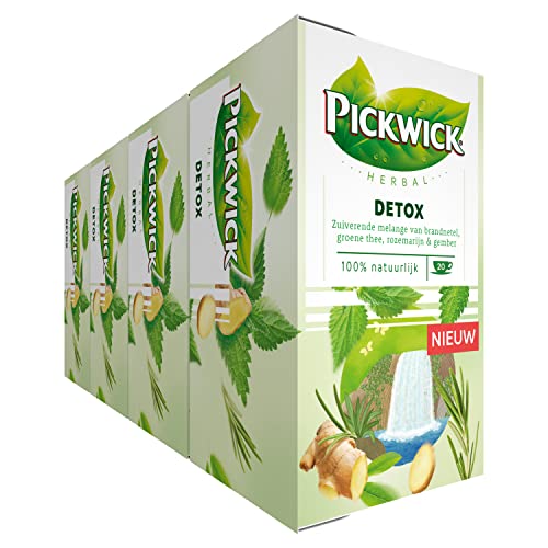 Pickwick Herbal Detox Kruidenthee met Brandnetel, Rozemarijn en Gember (240 Theezakjes, 100% Natuurlijk), 4 x 20 Zakjes von Douwe Egberts
