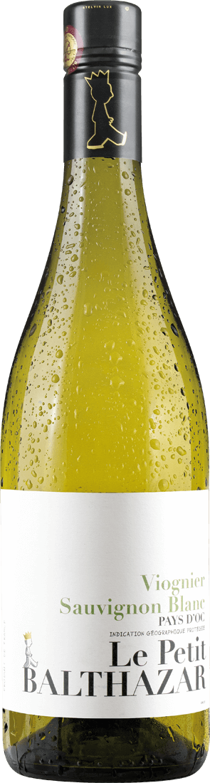 Le Petit Balthazar Viognier Sauvignon Blanc 2022 von Pierrick Harang Wine