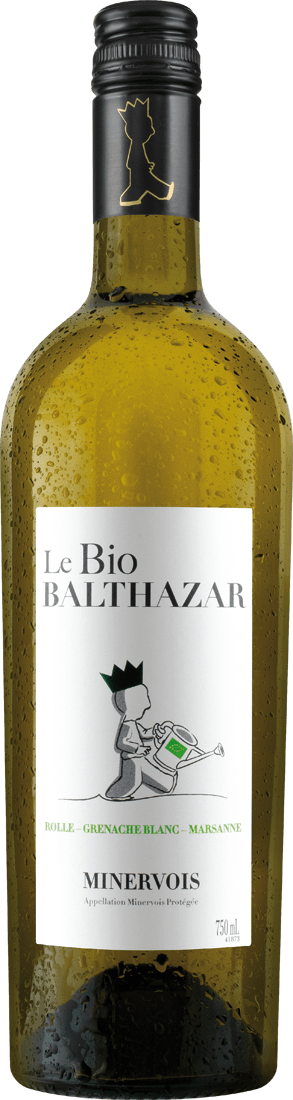 Minervois Blanc Balthazar 2022 von Pierrick Harang Wine