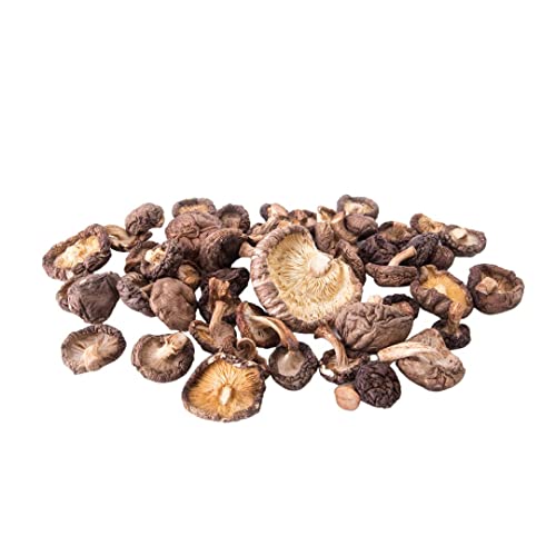 Pilze Wohlrab - 500g Bio Shiitake – Geräucherte Pilze Vegan / Shiitake Pilze Getrocknet & Geräuchert – veganer Speckersatz Pilze Wohlrab - 500g Bio Shiitake – Geräucherte Pilze Vegan / Shiitake Pilze Getrocknet & Geräuchert – veganer Speckersatz von Pilze Wohlrab