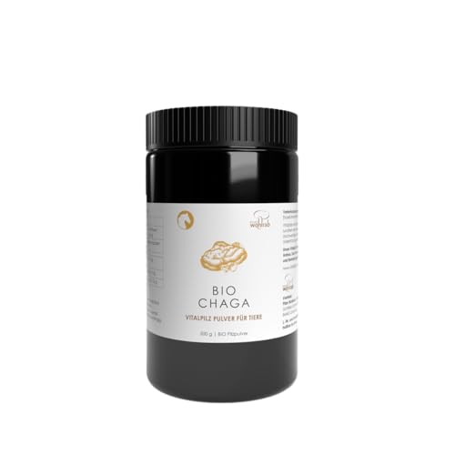 Pilze Wohlrab - Bio Chaga Pilz Pulver für Tiere - 300 g - Chaga Pulver mikrofein - Pferde - Höchste Bio-Qualität Pilze Wohlrab - Bio Chaga Pilz Pulver für Tiere - 300 g - Chaga Pulver mikrofein - Pferde - Höchste Bio-Qualität von Pilze Wohlrab