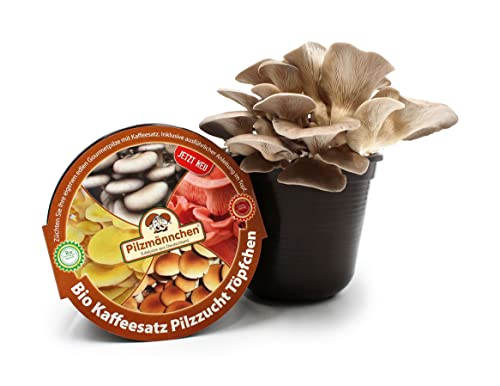 Bio Austernpilz Kaffeesatz Töpfchen - Pilze selber züchten Bio Austernpilz Kaffeesatz Töpfchen - Pilze selber züchten von Pilzmännchen