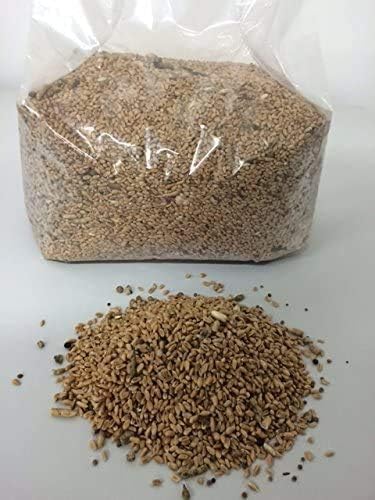 Bio Weizen 5kg - zur Herstellung von Pilzbrut, Substratmischung von Pilzmännchen