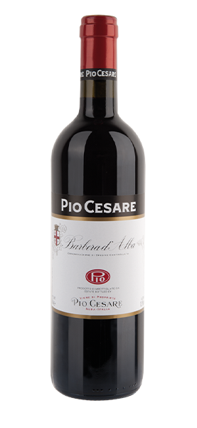 Barbera d'Alba DOC 2023 von Pio Cesare