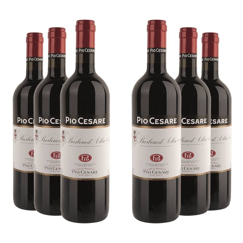 Pio Cesare : Barbera d'Alba 2022 von Pio Cesare