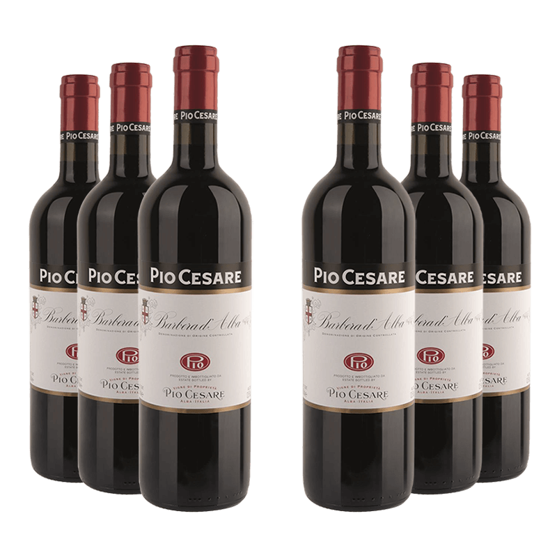 Pio Cesare : Barbera d'Alba 2023 Pio Cesare : Barbera d'Alba 2023 von Pio Cesare