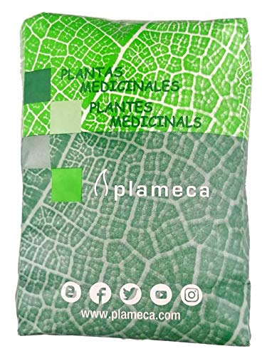 ANIS SEEDS GREEN 1 KG .. von Plameca