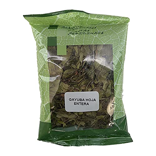 GAYUBA Ganzbogen 75GR GAYUBA Ganzbogen 75GR von Plameca