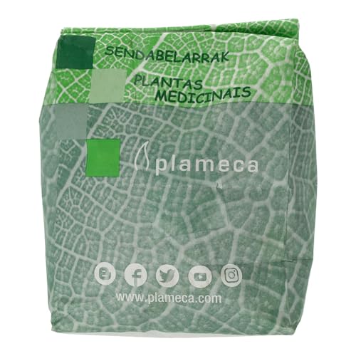 Plameca Grüner Tee Whole "schießpulver" 1 KG von Plameca