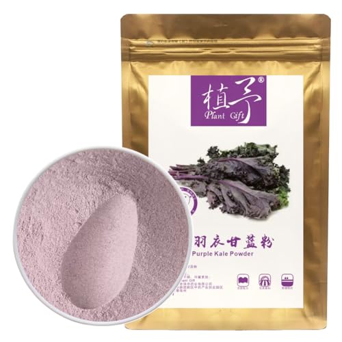 100% Natural Pure Purple Kale Powder 100g/3.52oz 紫羽衣甘蓝粉 Natürliche Lebensmittelfarbe, ideal für Backen, Säfte, Smoothies, Shakes und Getränke. 100% Natural Pure Purple Kale Powder 100g/3.52oz 紫羽衣甘蓝粉 Natürliche Lebensmittelfarbe, ideal für Backen, Säfte, Smoothies, Shakes und Getränke. von Plant Gift