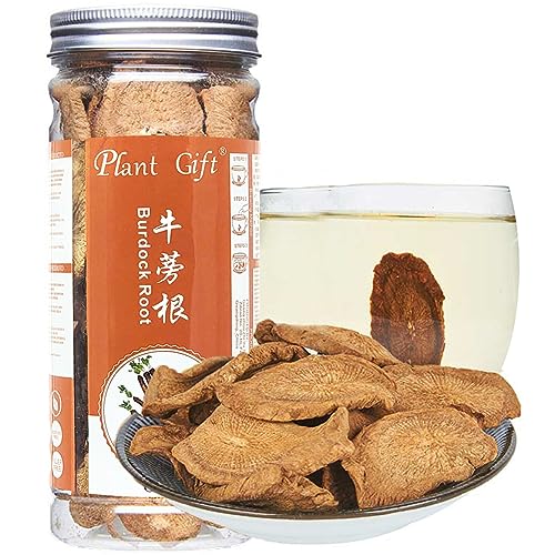 Plant Gift Roasted Burdock Root Tea, 牛蒡茶 Batterie-Wurzel-Tee, Heilkräuter, getrocknete Massenkräuter, Gold-Batterie-Tee, medizinische Zwecke organischer und gesunder chinesischer Flair 100g / 3,52oz von Plant Gift