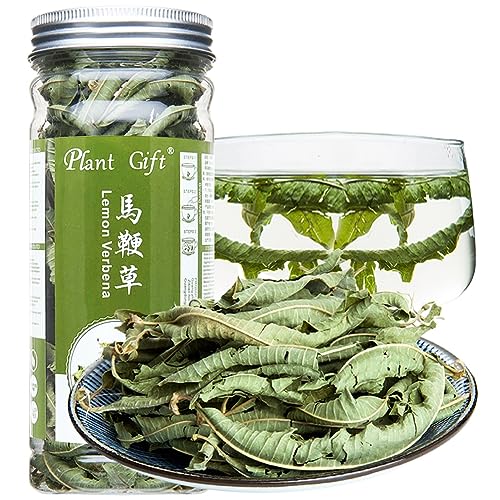 Plant Gift 100% Lemon Verbena Tea 马鞭草 Loose Dried Lemon Leaves Beauty Tea flower china chinese, Natürliche Kräuter Lose Getrocknete Zitrone Blätter Schönheit Tee Blume China Chinesisch 20g / 0.7oz von Plant Gift