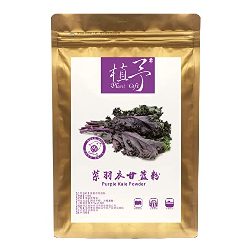 Plant Gift 100% Pure Purple Kale Powder 紫羽衣甘蓝粉 Natürliches lila Kohlmehl, großes Aroma für Getränke, fügt Geschmack und Geschmack nicht-GVO Pulver hinzu, kein Füllstoff, keine Zusätze 100G/3.25oz Plant Gift 100% Pure Purple Kale Powder 紫羽衣甘蓝粉 Natürliches lila Kohlmehl, großes Aroma für Getränke, fügt Geschmack und Geschmack nicht-GVO Pulver hinzu, kein Füllstoff, keine Zusätze 100G/3.25oz von Plant Gift