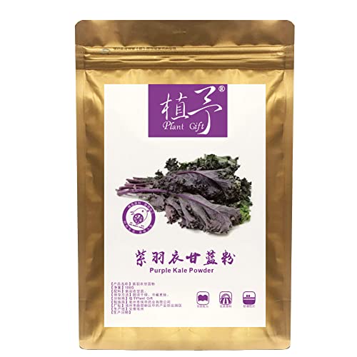 Plant Gift 100% Pure Purple Kale Powder 紫羽衣甘蓝粉 Natürliches lila Kohlmehl, großes Aroma für Getränke, fügt Geschmack und Geschmack nicht-GVO Pulver hinzu, kein Füllstoff, keine Zusätze 100G/3.25oz von Plant Gift