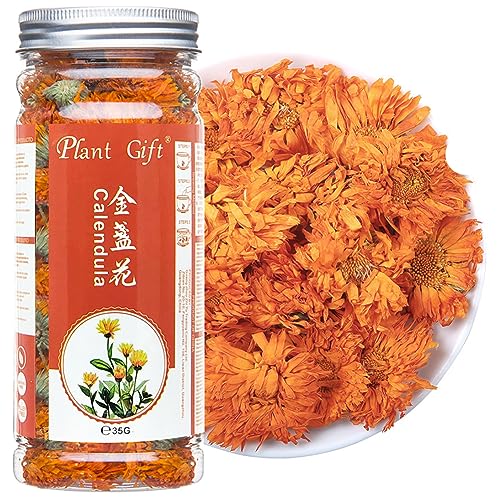 Plant Gift Calendula Tea 35G/1.23oz 金盏花 Calendula Tea, Kräutertee (Calendula officinalis), Ringelblume Tee, reiner Kräutertee, koffeinfrei, ohne GVO, chinesischer Tee von Plant Gift