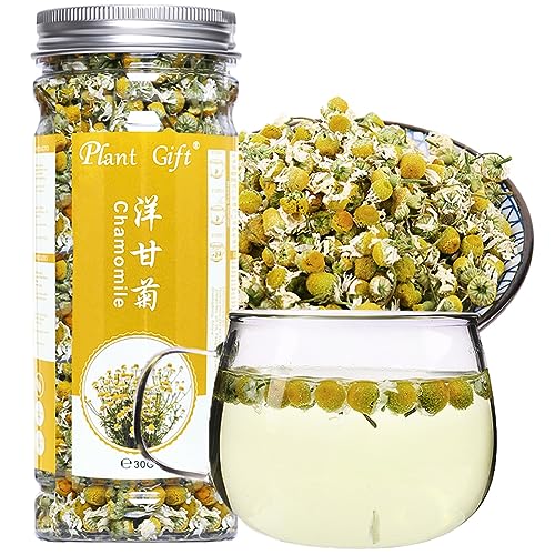 Plant Gift Chamomile Tea, 洋甘菊 100% reiner Kamille-Tee, machen Akne-Teebeutel, Kamille Tee loses Blatt, mit Lavendel-Tee, Extrakt-Kamille-ätherische Öle, traditionelle Medikamente 30g Plant Gift Chamomile Tea, 洋甘菊 100% reiner Kamille-Tee, machen Akne-Teebeutel, Kamille Tee loses Blatt, mit Lavendel-Tee, Extrakt-Kamille-ätherische Öle, traditionelle Medikamente 30g von Plant Gift