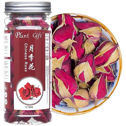 Plant Gift Dried Chinese Rose Buds, 50G/1.76oz 月季花 Natürliche getrocknete chinesische Rosenknospen (Rosa Chinesis Jacq) Rosebudblume, Kräuterlöser Blatttee, duftende natürliche gesunde Kräuter von Plant Gift