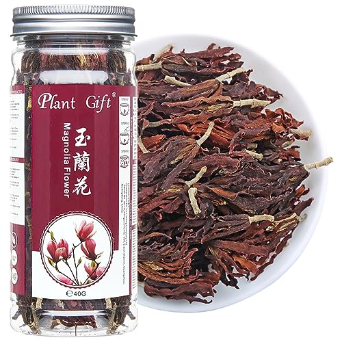 Plant Gift Dried Magnolia Tea 40g/1.41 玉兰花茶 Premium essbare Magnolienblume, Blumenkraut Lose Blatt chinesischer Tee, duftende natürliche gesunde Kräutertee von Plant Gift