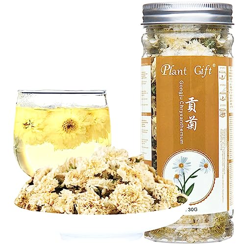 Plant Gift Huangshan Gongju Yellow Chrysanthemum Tea, 贡菊 Huangshan Gongju Gelb Chrysantheme Tee, Abnehmen Schönheit Hautpflege Gesundheit Kräuter Chinesische Blume 30g / 1oz von Plant Gift