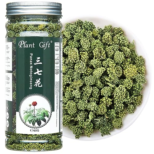 Plant Gift Panax Notoginseng Flower 60G/2.12oz Tienchi Notoging Tee, Tienchi Ginseng Nan von Plant Gift