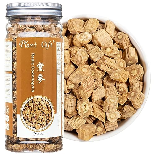 Plant Gift Radix Codonopsis,150G/5.29oz 党参 Pilosulae Wurzel, getrocknete Schüttung Kräuter, Dang Shen Roh aus chinesischem Gesundheitstee von Plant Gift