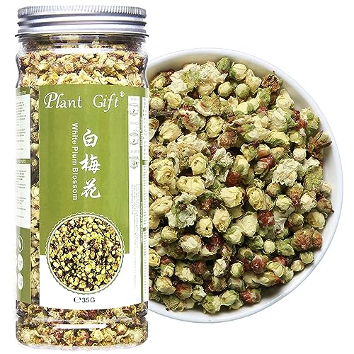 Plant Gift White Plum Blossom Tea Flower, 35G/1.23oz 白梅花-绿萼梅花 Weiße Pflaumenblüte Teeblume, getrocknete Pflaumen ， Pflaumenblume für Tee, Kräuter-, Blumen-DIY-Handwerk von Plant Gift