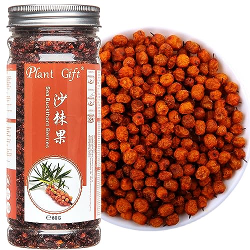 PlantGift Dried Sea Buckthorn Berries 120G/4.23oz 沙棘果 Seert Fruit Ganze Beeren, extrem getrocknet, keine Süchtigen, hoher B12 -Gehalt, organische getrocknete Früchte von Plant Gift