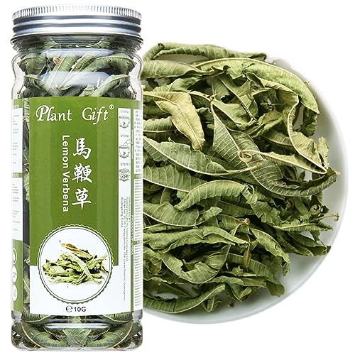 PlantGift Lemon Verbena Leaves 20G/0.7oz 柠檬马鞭草 Zitronen Valle GVO, Koffein frei, 100% reines und Natur Zitronenverbena, Kräutertee von Plant Gift